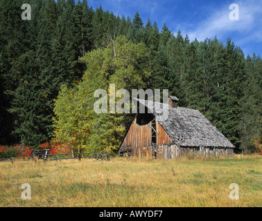 Weathered old barn on homestead in Chumstick Valley near Plain Washington Stock Photo
