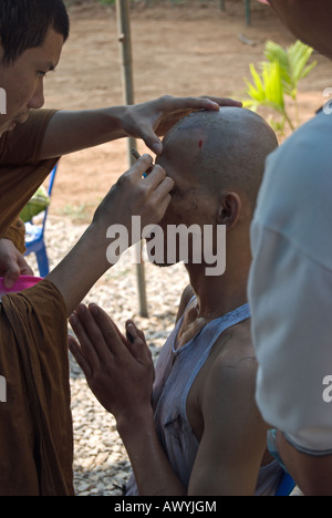 a thai buddhist monk carefully shaves the eyebrows of a young thai man, part of the ordination of a novice monk Stock Photo