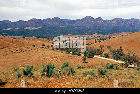 Wilpena Pound, Flinders Ranges National Park, South Australia Stock Photo