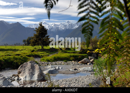 Mt. Cook view from road path to Lake Matheson near the town of Fox Glacier. New Zealand, South Island. Stock Photo