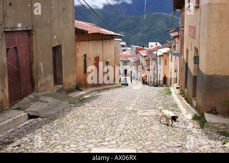 An empty cobblestone street in the Andean town of Coroico, Bolivia. Stock Photo
