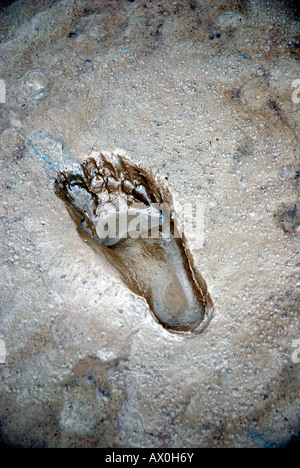 Footprint in tidal mud flats, North Sea, Germany, Europe Stock Photo