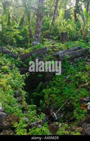 Historic Lelu Ruins, Kosrae, Federated States of Micronesia Stock Photo