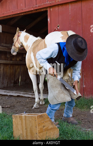 Horseshoeing in wildwest Oregon, USA Stock Photo