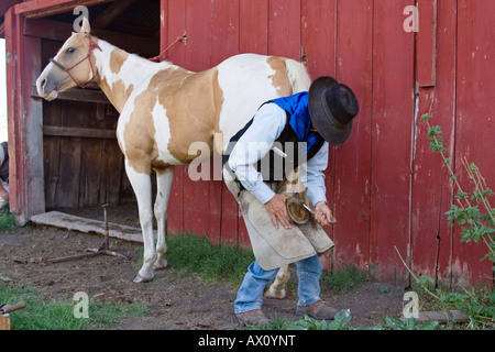 Horseshoeing in wildwest Oregon, USA Stock Photo