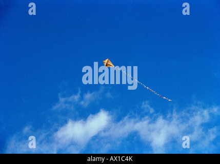 Kite flying in the sky Stock Photo