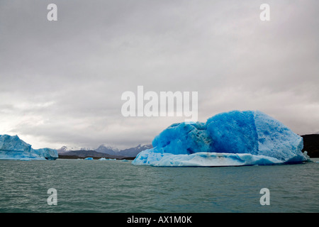 Icebergs at the Spegazzini Glacier on the lake Lago Argentino, National Park Los Glaciares, (Parque Nacional Los Glaciares), Pa Stock Photo