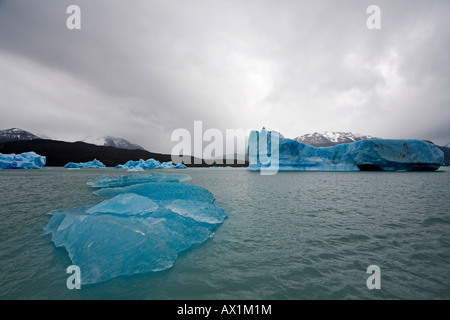 Icebergs at Spegazzini Glacier on the lake Lago Argentino, National Park Los Glaciares, (Parque Nacional Los Glaciares), Patago Stock Photo