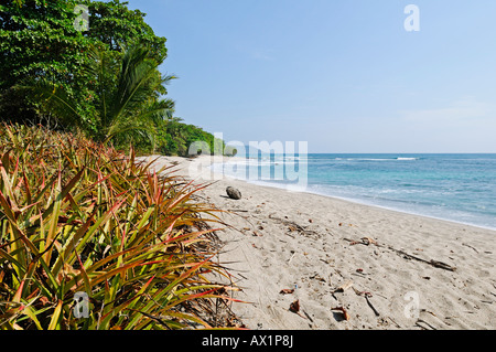 Beach of Santa Teresa, Mal Pais, Nicoya Peninsula, Costa Rica, Central America Stock Photo