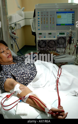 A female Patient on Haemodialysis Stock Photo