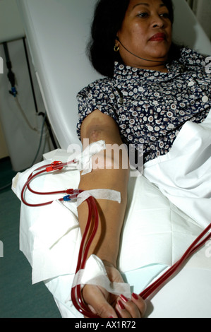 A female Patient on Haemodialysis Stock Photo