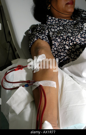 A female Patient on Haemodialysis Stock Photo