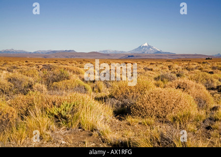 Steppes landscape with view of the Vulcan Lanin at sunrise, national park Parque Nacional Lanin, region of northern Patagonia,  Stock Photo