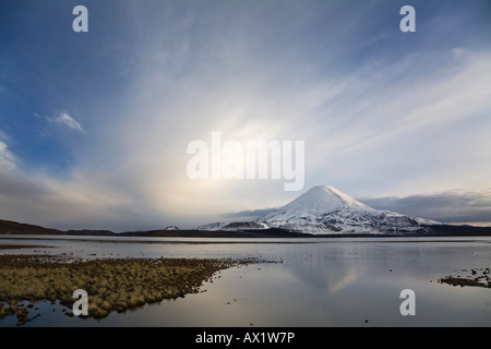 Vulcan Parinacota at dawn on lake Lago Chungara, national park Lauca, Chile, South America Stock Photo