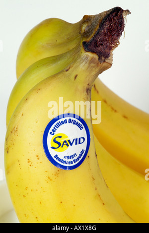 Banana with product sticker Fairtrade Banana Label Organic Dominican Republic Certification Stock Photo