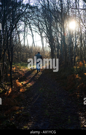 A man walking with his dog in the forest Stock Photo