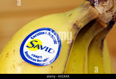 Banana with product sticker Fairtrade Banana Label Organic Dominican Republic Certification Stock Photo