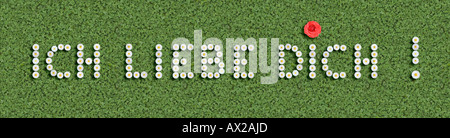 German Words For I Love You Written With Daisies Stock Photo German Words For I Love You Written With Daisies Stock Photo