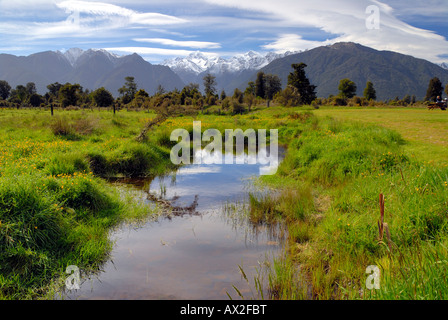 Mt. Cook view from road path to Lake Matheson near the town of Fox Glacier. New Zealand, South Island. Stock Photo