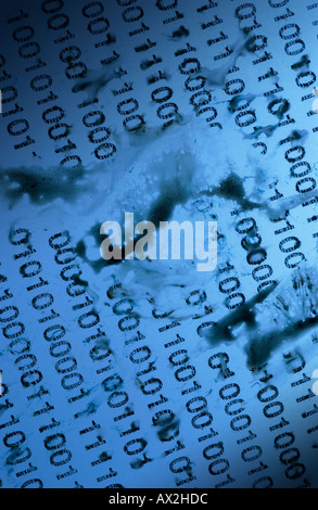 binary data Stock Photo