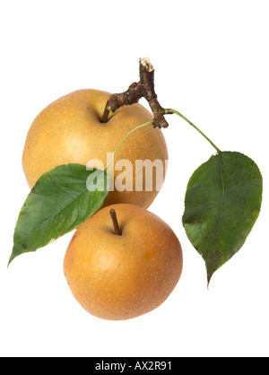 Asian pear Stock Photo