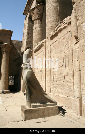 Edfu Temple - Statue of Horus [Edfu, Egypt, Arab States, Africa]                                                               . Stock Photo