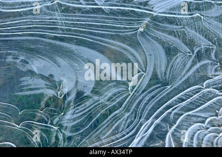 Frozen water over grass on Dartmoor national Park Devon England Stock Photo