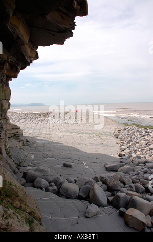 A geological SSSI on Kilve Beach in North Somerset with wave cut limestone platforms Stock Photo