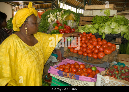 Travel, Senegal, Dakar, Local woman, Vegetable vendor in central market, Stock Photo
