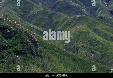 zyx Outeniqua Mountains South Africa recovering from forest fires Stock Photo