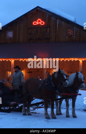Winter Sleigh Rides Alberta Canada Lake Louise Stock Photo