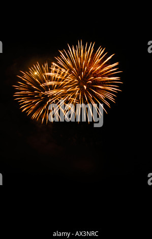 Firework burst against a black sky Stock Photo