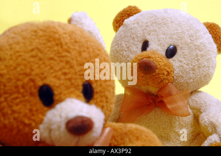 Two teddy bears Stock Photo