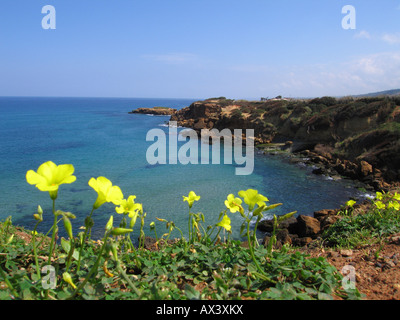 Algerian coast and Mediterranean sea between Tipasa and Bou Haroun at the west of Algiers, Algeria, Northern Africa Stock Photo
