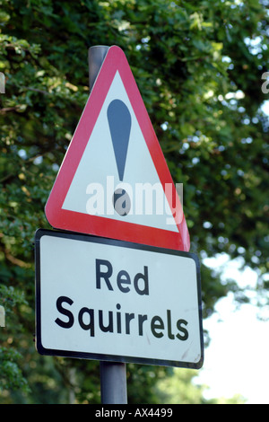 Red Squirrel Road Traffic Warning Sign on the Isle of Wight Southern UK Stock Photo
