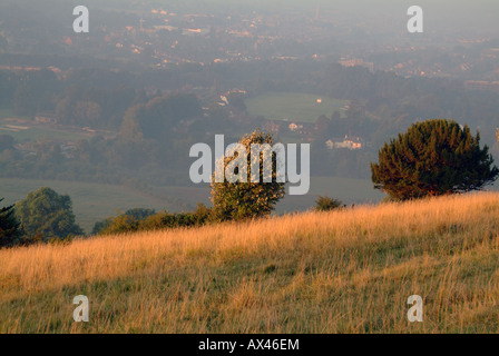 Box Hilll Tree overlooking Dorking in Surrey on a summer morning with heat mist hanging over ground Stock Photo