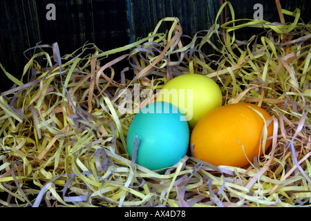 Colored eggs in straw Stock Photo
