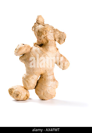 ginger root shaped like a soccer player with ball isolated on white background Stock Photo