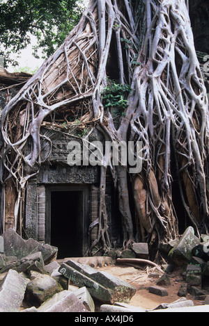 Ta Prohm is a temple at Angkor in the Siem Reap region of Cambodia famous for the trees growing out of the ruins Stock Photo