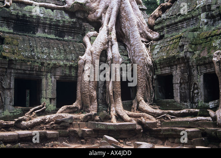 Ta Prohm is a temple at Angkor in the Siem Reap region of Cambodia famous for the trees growing out of the ruins Stock Photo