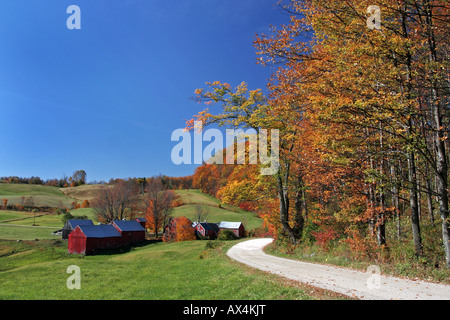 Autumn and fall foliage at the Jenne Farm in Reading Vermont Stock Photo