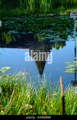 Buckland Village in Surrey on a summer morning water lily pond lily Nymphaea spec blooming Stock Photo