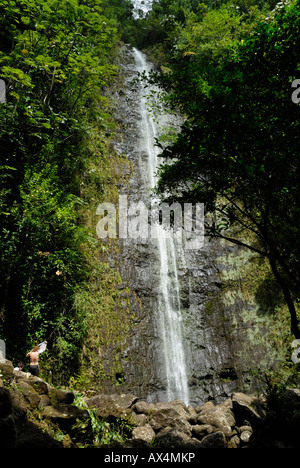 Manoa Falls O'ahu Hawaii Stock Photo