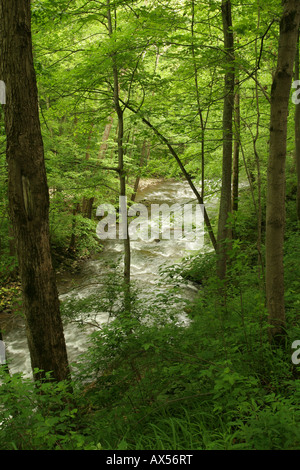 Escape to the Enchanting World of Novak State Nature Preserve: A Hidden Gem in Ohio