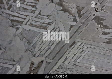 Seymchan Meteorite Cross-section - St Petersburg Paleontological Lab Russia, Widmanstatten Patterns, iron Stock Photo