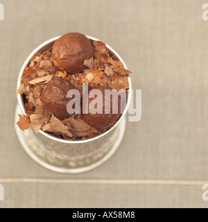 Chocolate truffles in tin box, close-up, elevated view Stock Photo