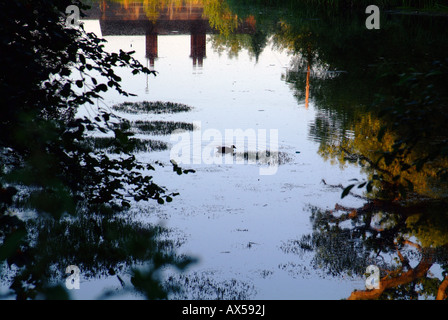 Sherbourne Pond next to Silent Pool near Guildford Surrey England UK Stock Photo