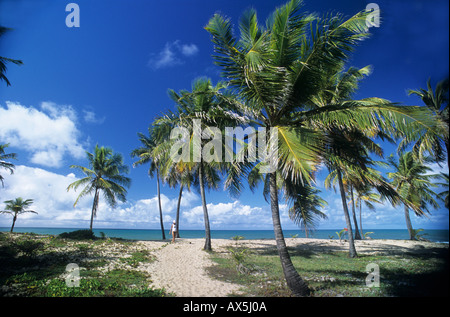 Sauipe, Bahia State, Brazil. Palm trees leading to a perfect sea with puffy white clouds on a bright, sunny day; one woman. Stock Photo
