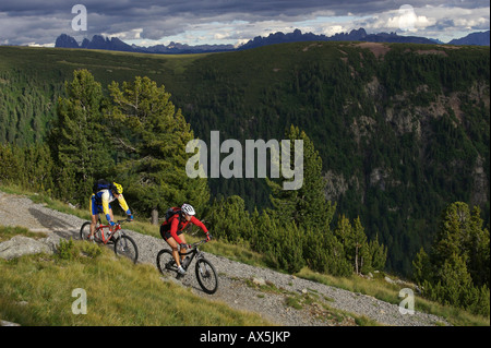 Male and female mountain bikers at Gedrum alpine pasture in the Dolomites, Sarentino, Bolzano-Bozen, Italy, Europe Stock Photo
