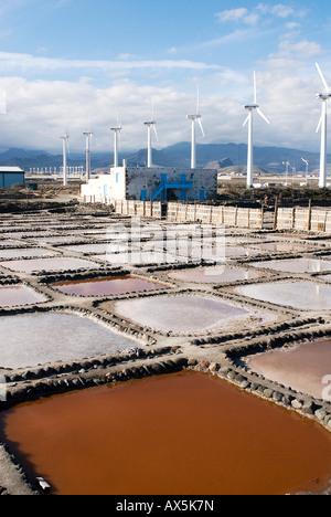 Las Salinas de Tenefé Salinen, Pozo Izquierdo, Santa Lucia, Gran Canaria, Canary Islands, Atlantic Ocean, Spain Stock Photo